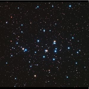 Meet your Posher, Anne